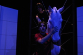 EQUUS