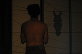 EQUUS