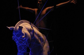 EQUUS