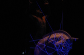 EQUUS